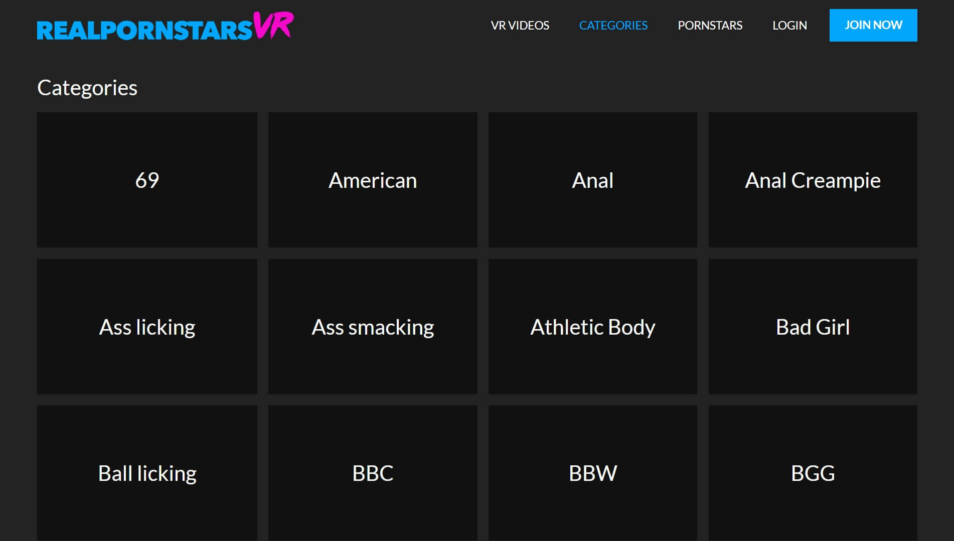 Real Pornstars VR categories (1)