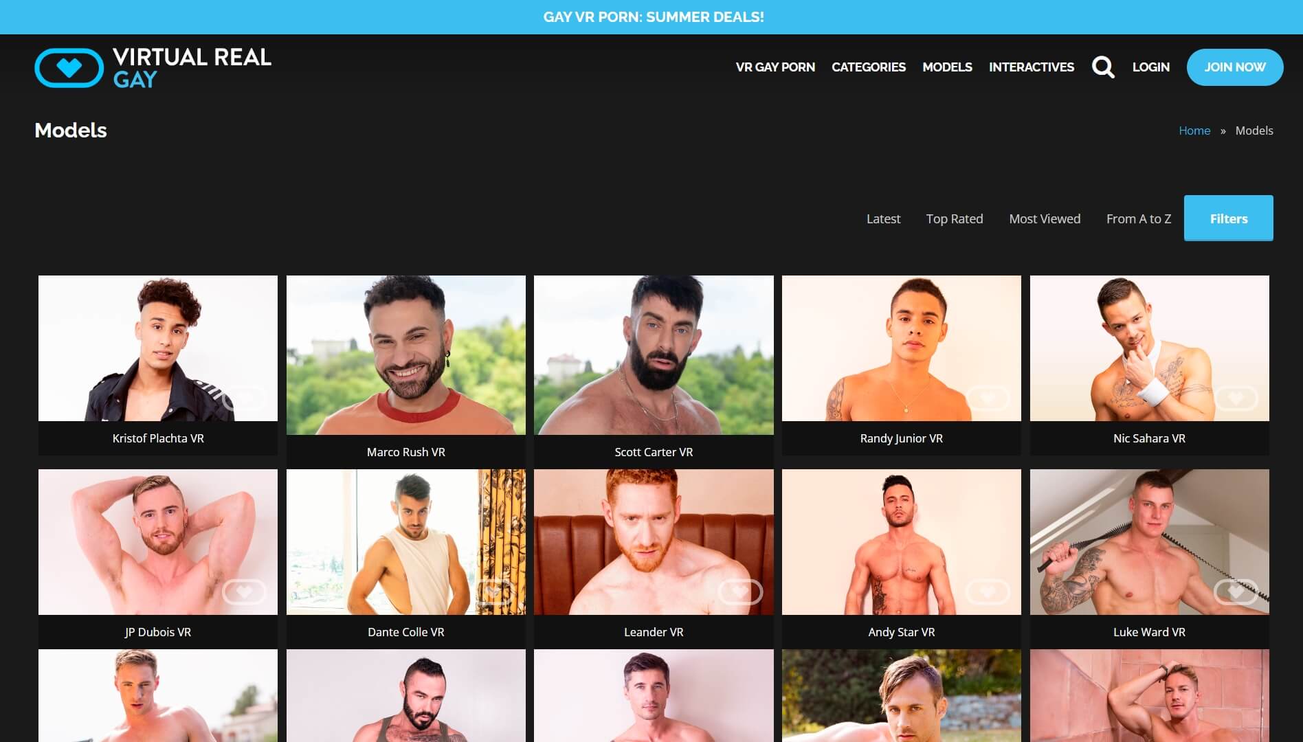 Virtualrealgay models (1)